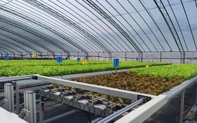 阿里云 智能農業的領航者，高科技助新農人畝產躍升六倍