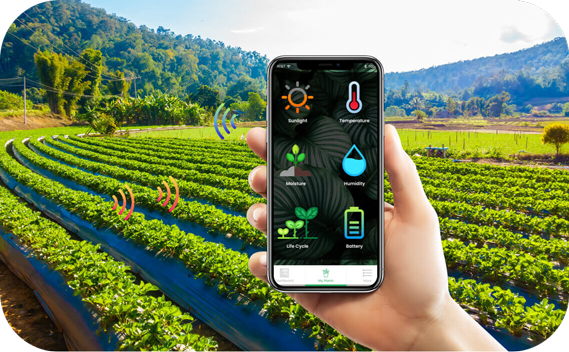 數字化鄉村智能管理 引領農業革命，助推農民增產致富